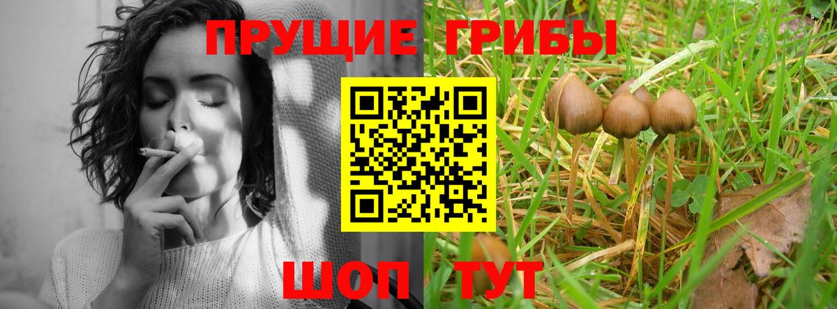 где можно купить   Псилоцибиновые грибы прущие грибы  Котлас  Вход с VPN  Псилоцибиновые грибы мухоморы 