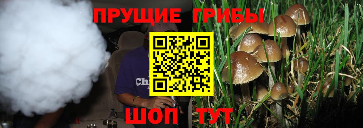 A-PVP Котлас