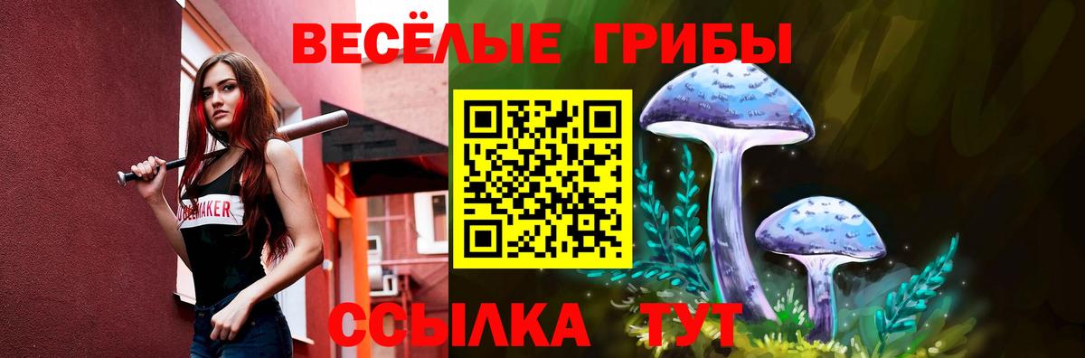 Галлюциногенные грибы мицелий Котлас